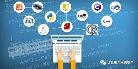 開發(fā)數(shù)據(jù)分析工具用哪種編程語言更好?